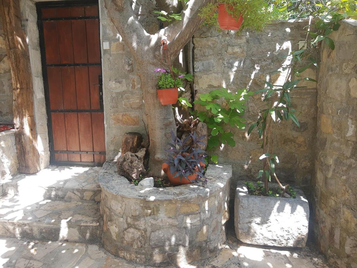 בודווה Sea-Side Old Stone Villa With A Private Garden מראה חיצוני תמונה