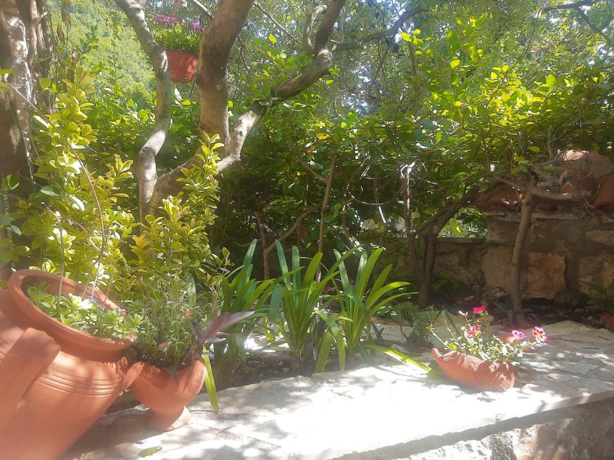 בודווה Sea-Side Old Stone Villa With A Private Garden מראה חיצוני תמונה