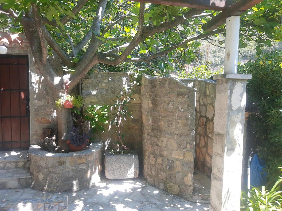 בודווה Sea-Side Old Stone Villa With A Private Garden מראה חיצוני תמונה