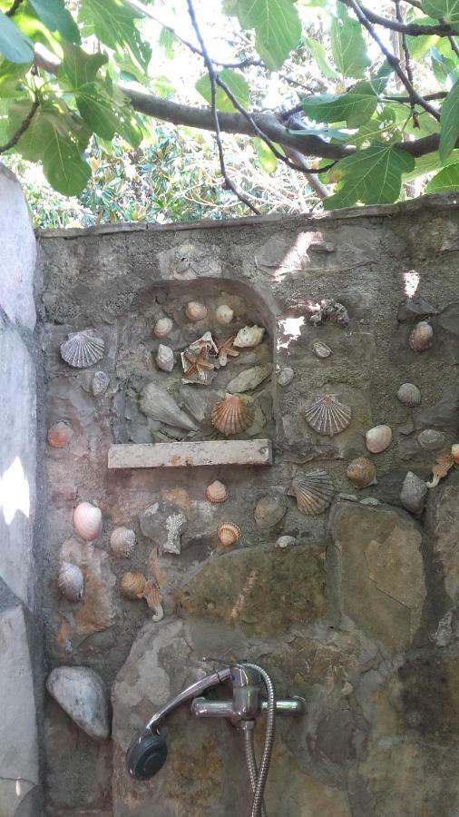 בודווה Sea-Side Old Stone Villa With A Private Garden מראה חיצוני תמונה